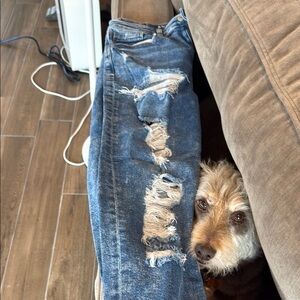 American Eagle Outfitters Blue Distressed Jeans